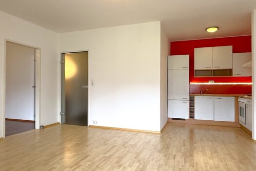 15bw0OKaCUhXkzOTN7DrUD