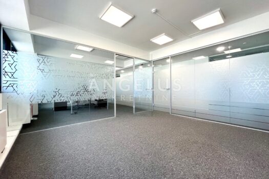 1730724169 img 5863 1