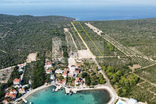 1756558652 dji fly 20250813 163330 780 1755095621634 photo optimized