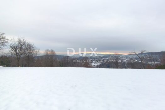 1768395913 whatsapp image 2026 01 14 at 12