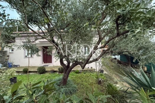 1772186221 whatsapp image 2026 02 27 at 10