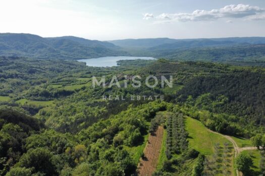 1774274042 35ba228c 2acd 4513 8083 411c2181d84b