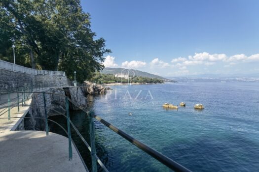 1774311419 1000178310