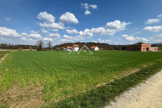 1774446810 whatsapp image 2026 03 25 at 14