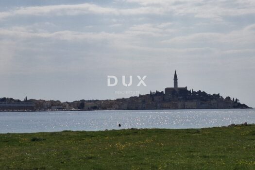 1774516171 f0482afc 0308 46ee 849e 094ad6a40574