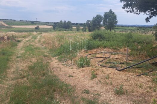 1774699492 photo 2026 03 19 09 12 31