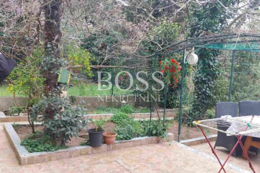 1775040717 img 8fc824aad6d7b4e6b72712caaf6d534a v