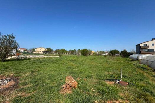 1775558316 thumbnail 1