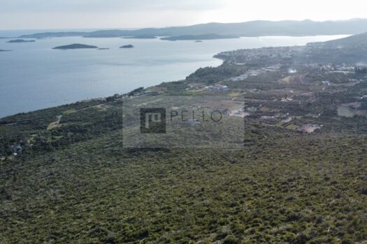 1775583099 dji fly 20260321 164116 36 1774107702596 photo optimized