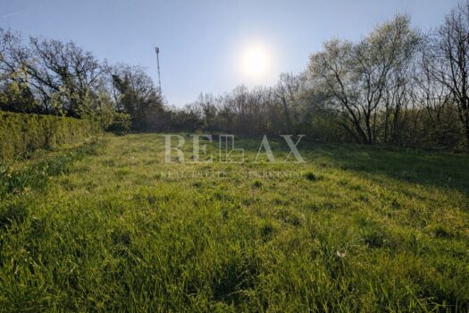 1775639367 marinici1