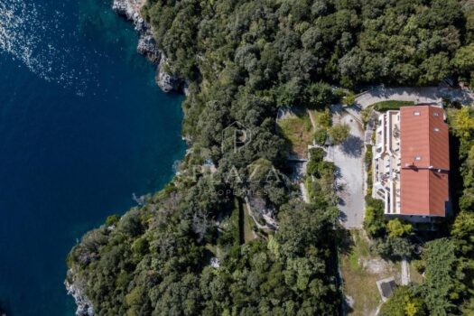 1775674419 842147630