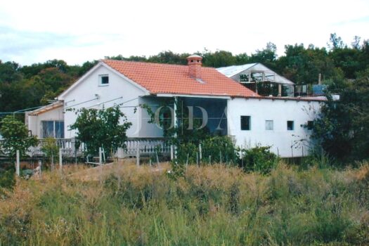 1775907607 1551792661 666935 0