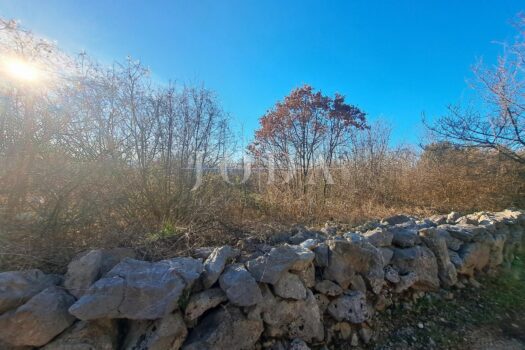 1775907961 741590692 666940 0