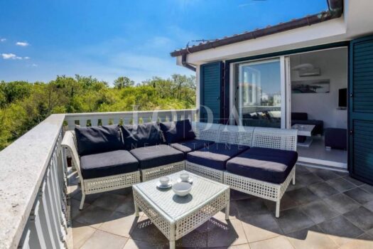 1775925739 677324927 384365 0