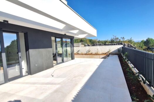 1775927789 537890605 421239 0