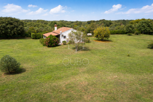 1776077810 mediteranska kuca u zelenoj prirodi