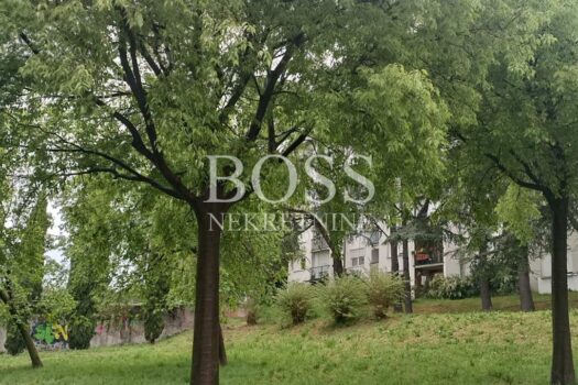 1776175298 img 41b4c79a2ee2b4073911d424d7a32a35 v