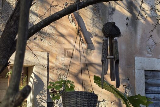 1776192712 20260321 161428