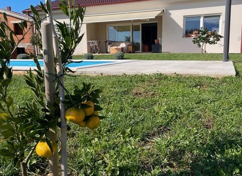 1776255419 fh kastelir 6