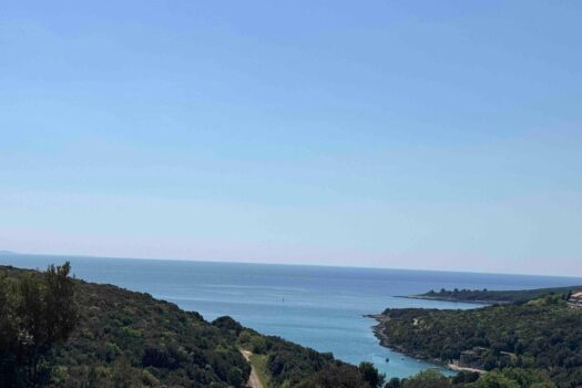 1776599151 thumbnail 8