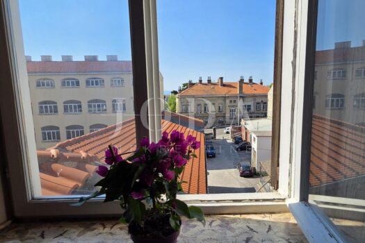 1776613642 1000215214