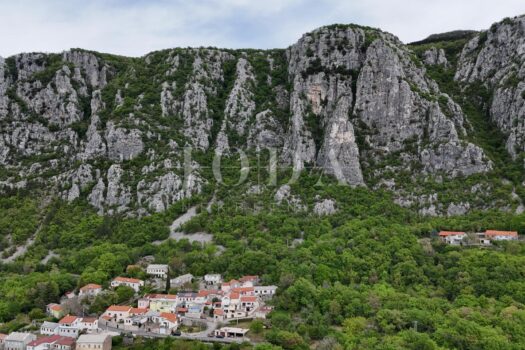 1776767011 1000217116