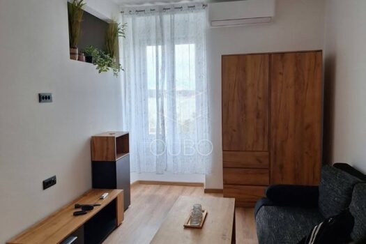 1776845106 671647528 26792911936979575 8702383939647076806 n