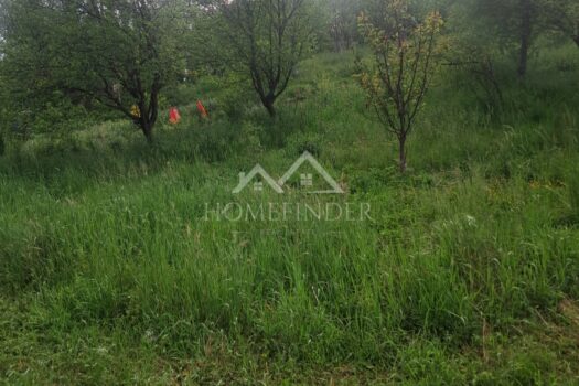 1776865036 20260421 183232