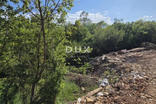 1776879972 1000100689