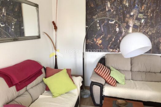 1776941419 12bf2df0 752b 44a1 9c28 a383407f8dda