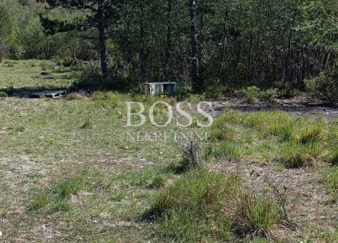 1776951035 img 824b3c04178587bb371746226a7bf14a v