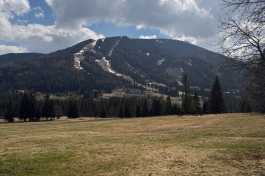 1AuXT5IhgNwAdQL8ZETo7V