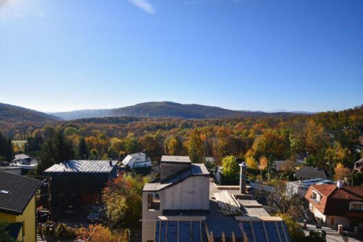 1FqKQVM0mBY3JA7qWMGAGY