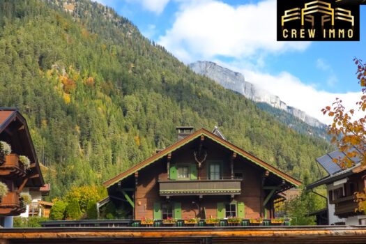 1H7Duo33d1z6knViY7WThH