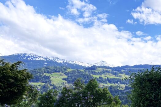 1LnJ2P8pz9WuHLEcuaJEtB