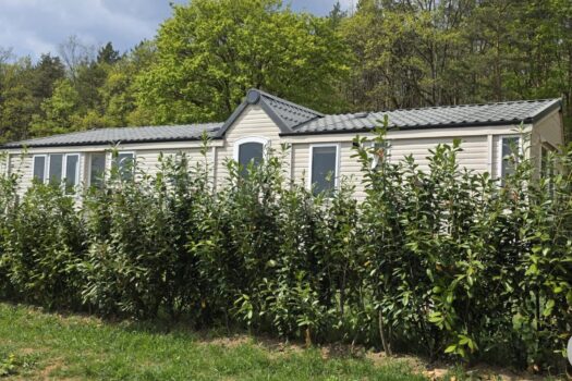 1MyVGthCOgphIKPjLvMxlZ