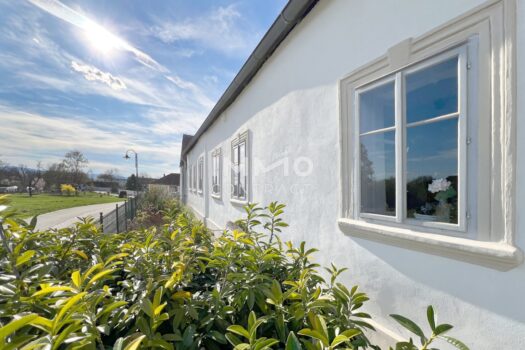 1P4Jn0CIjcCpiWaZGsG32b