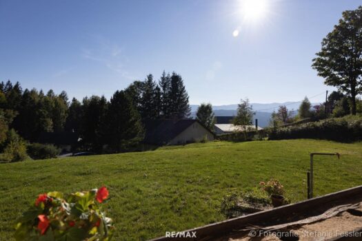 1PDvgXYiHHG74JjdJeBtJG