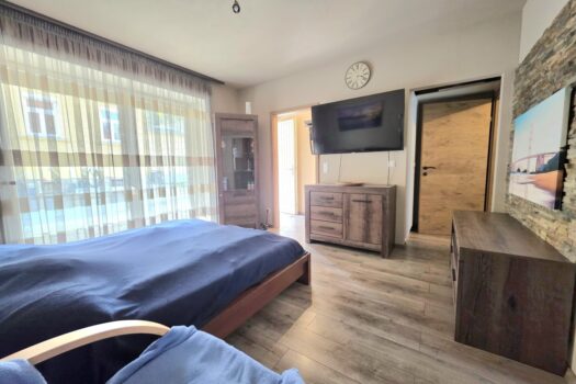 Wohn- und Schlafzimmer