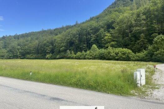 1U0kM6eIX6W3JfuLxpY9ae