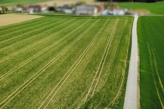 1ViTH0MsJTxIm7fnYbi6fs