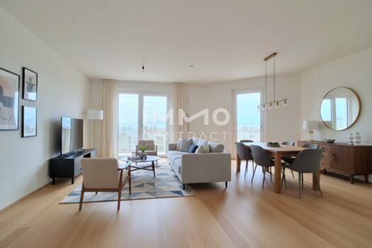 Visualisierung_Einrichtung