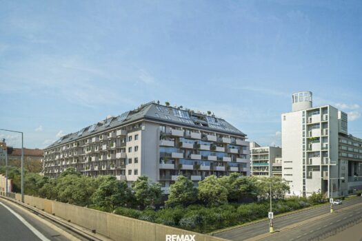 1XlAJEK0VhndLZV3FFsQrq