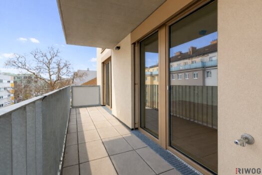 1kPPQjnHGkpGvfrvGyFJRx