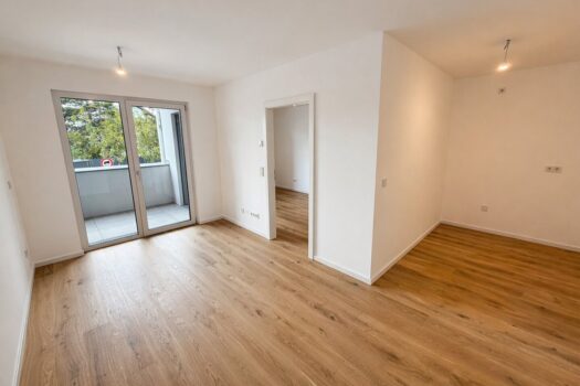 1lubBWIZDRQkNk6VkOYUIp