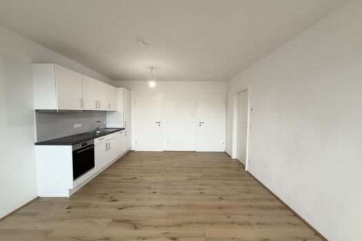 1ovK5UxyPrNddCnsSjMWF4