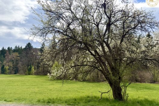 1rU5OmMauPrZ5fvmQ9Vp1T