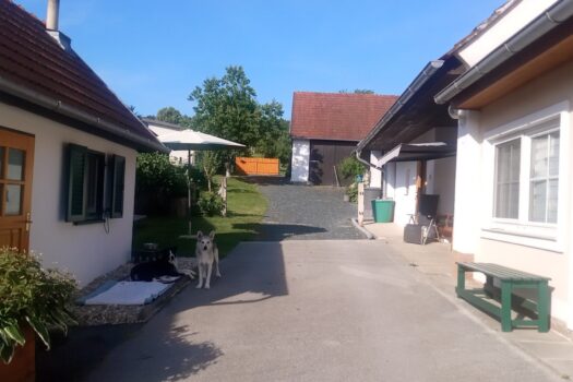 1tC51x3YTxJs7ZRXHdacQy