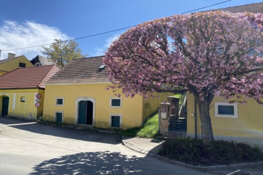 1vXURkY9aYakAbX6ndzaRF