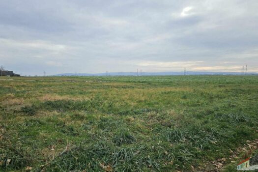 WhatsApp Image 2025-11-16 at 13.45.53 (2)